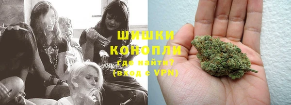прущие грибы Баксан