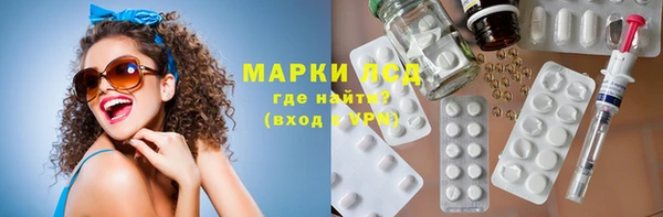 прущие грибы Баксан