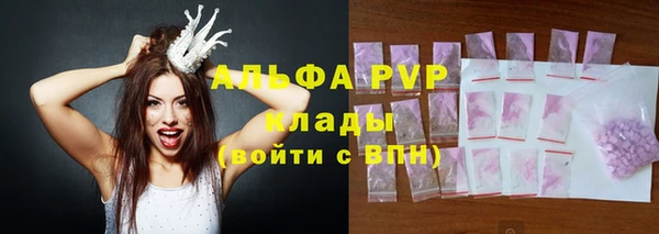 прущие грибы Баксан