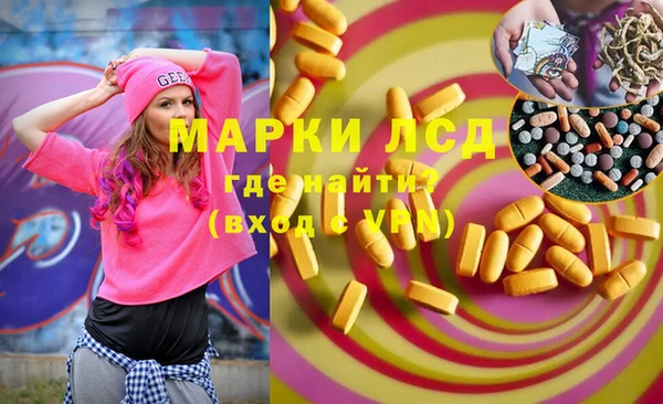 прущие грибы Баксан