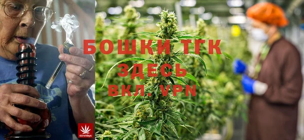 прущие грибы Баксан