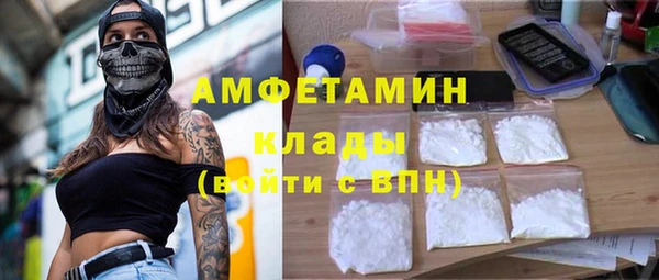 прущие грибы Баксан