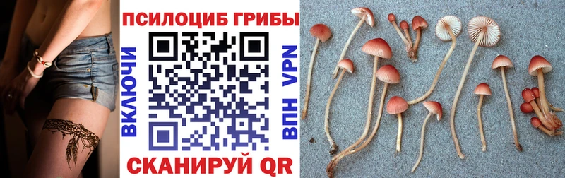 Галлюциногенные грибы GOLDEN TEACHER  Шадринск 