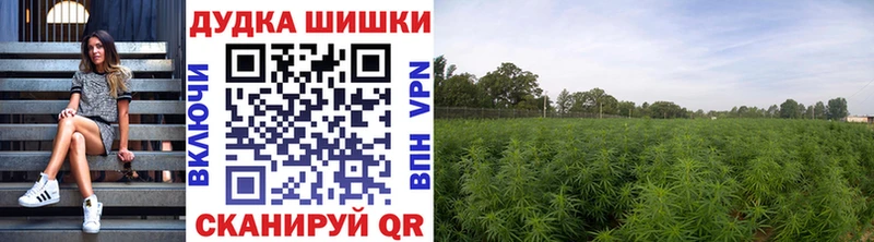 Марихуана THC 21%  где купить наркотик  Шадринск 